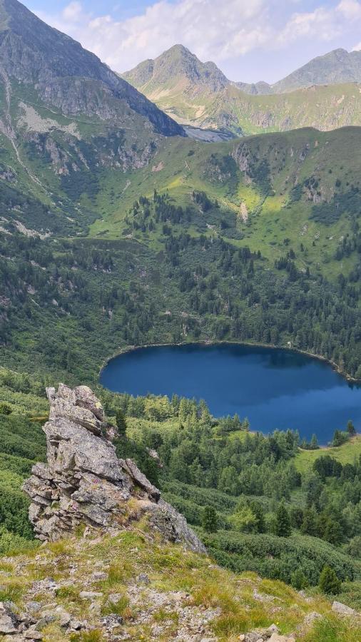 Haus Emmy - Urlaub Bei Freunden Villa Hohentauern Buitenkant foto