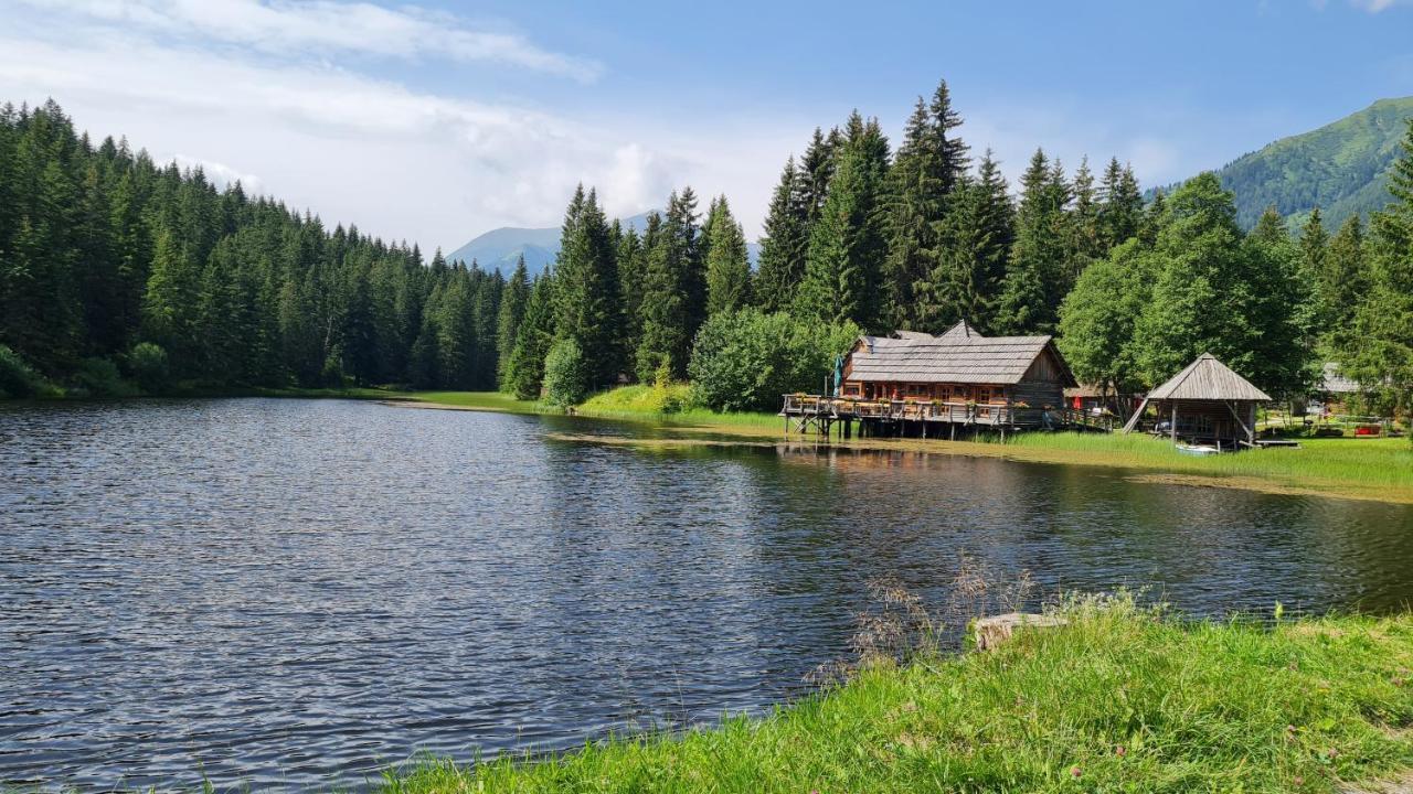Haus Emmy - Urlaub Bei Freunden Villa Hohentauern Buitenkant foto