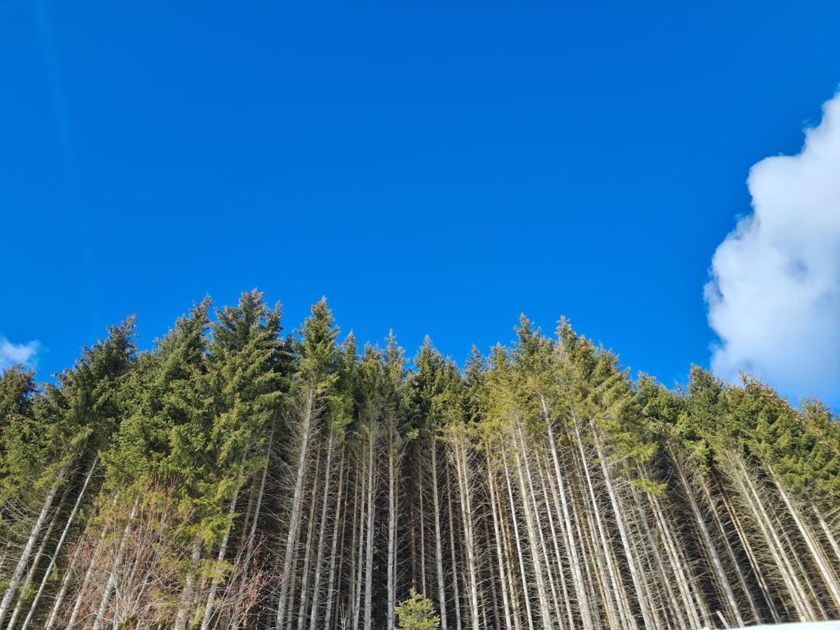 Haus Emmy - Urlaub Bei Freunden Villa Hohentauern Buitenkant foto